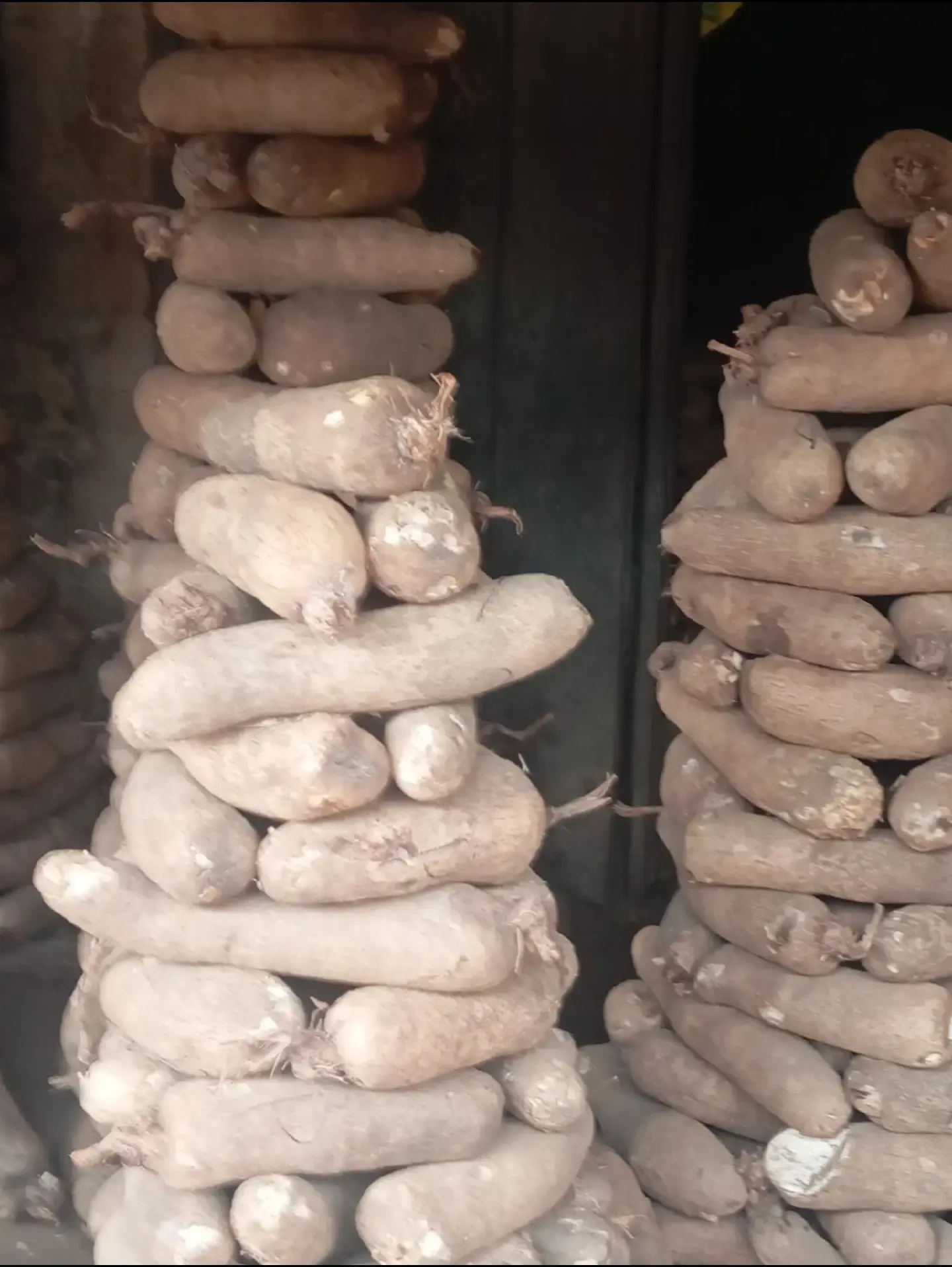 Nigeria white yam