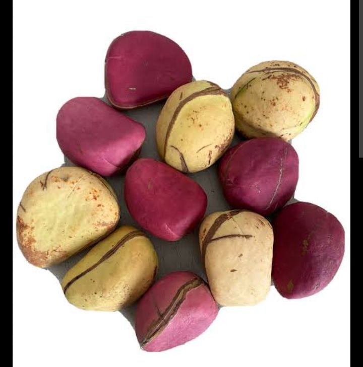Kolanut