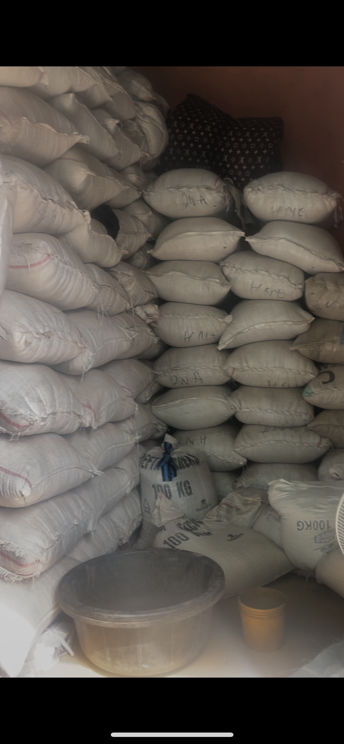 Clean, dried stone free tigernut seeds