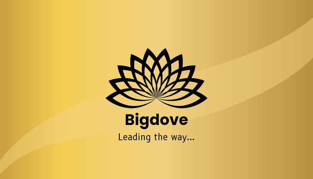 bigdove logo