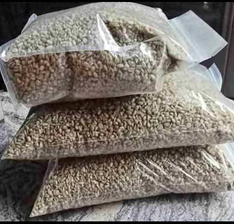 African bread fruit (Ukwa)