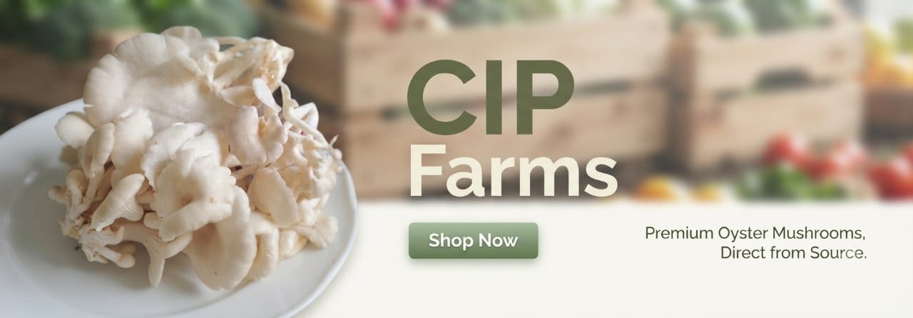CIP Dehydrated Mushroom