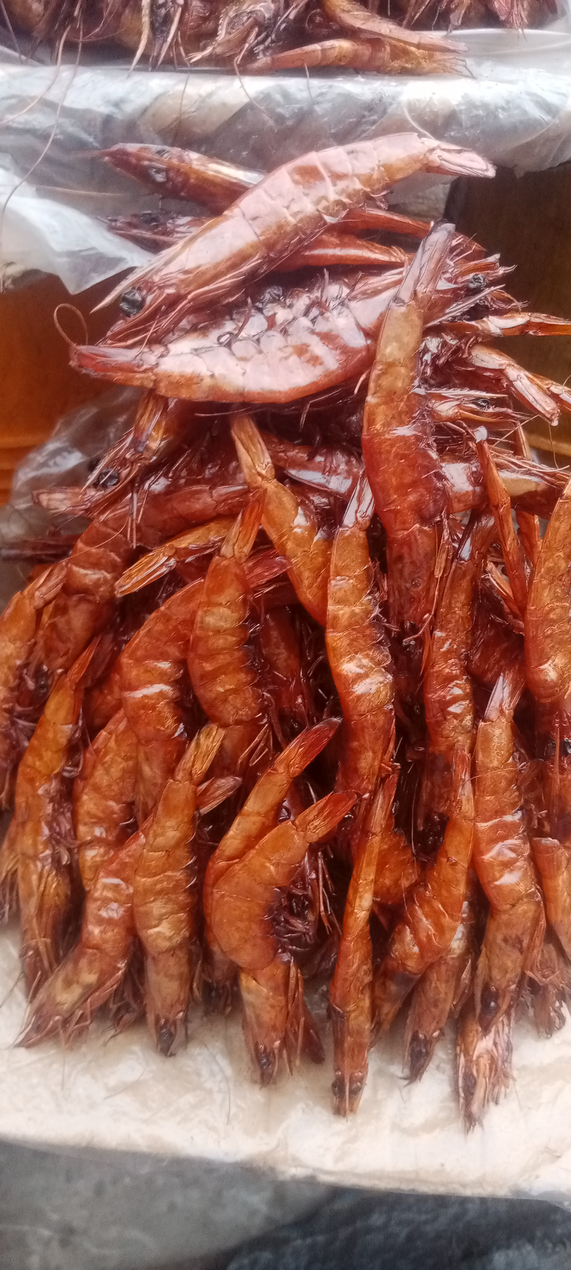 Prawn- grounded