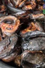 Oven dried catfish - Image 2