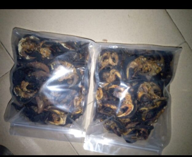 Goldpalm Export