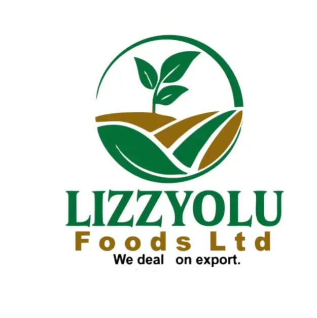 Lizzyolufoods