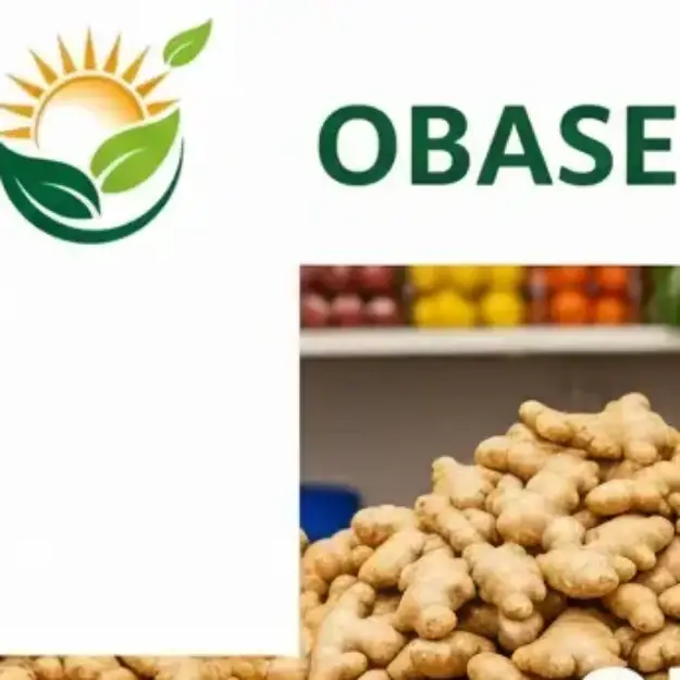 OBASE OTA'S FARM NIG.LTD