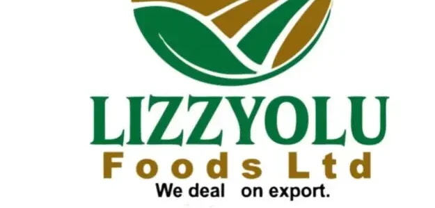 Lizzyolufoods