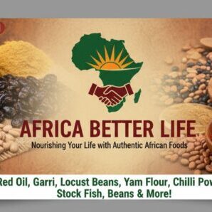 Africa Better Life