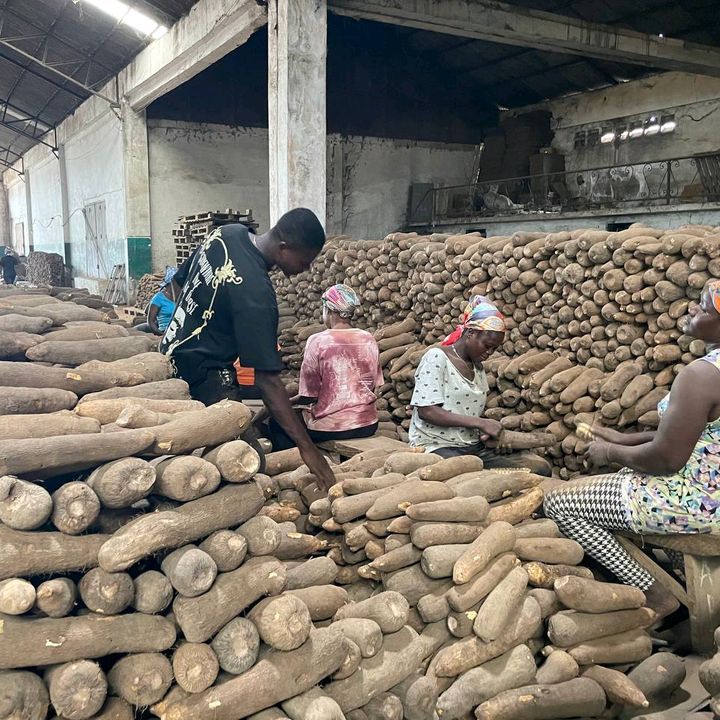 Chinedu ekeh store