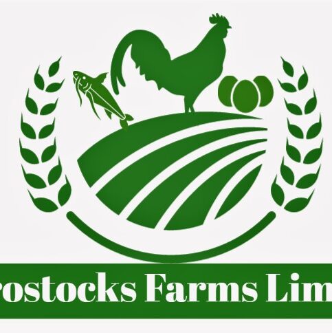 AGROSTOCKS FARMS LIMITED