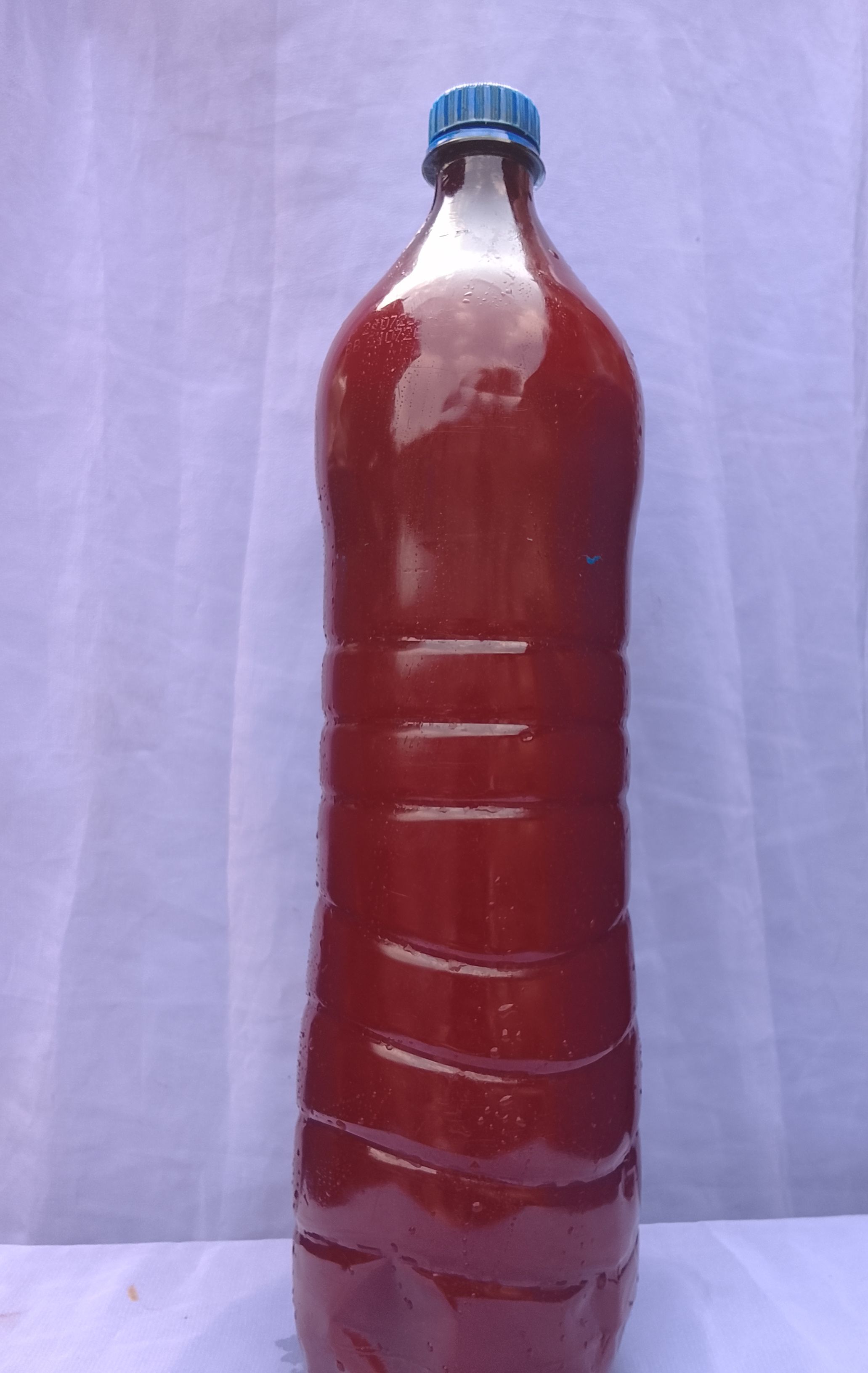 Muna palm oil
