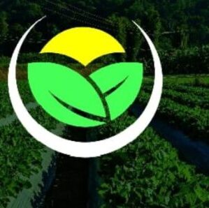 Crucible global resources