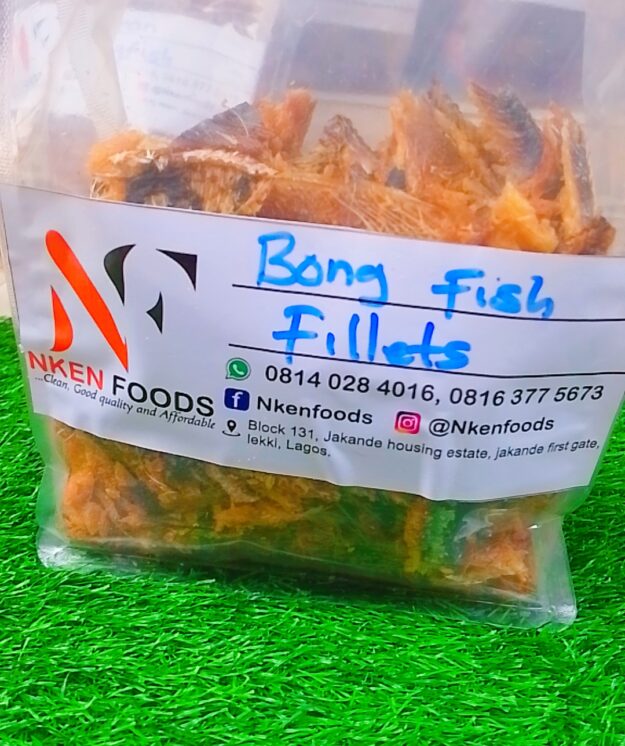 Nkenfoods logo