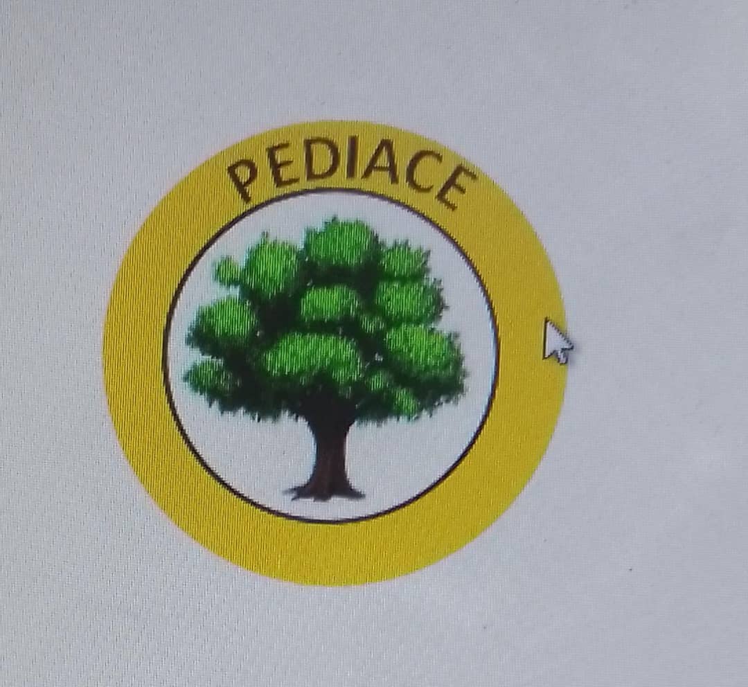 PEDIACE foods and Collections