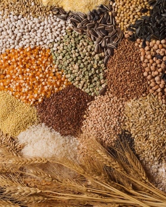 Thrive Foods