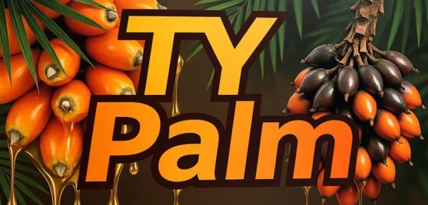 TY Palm