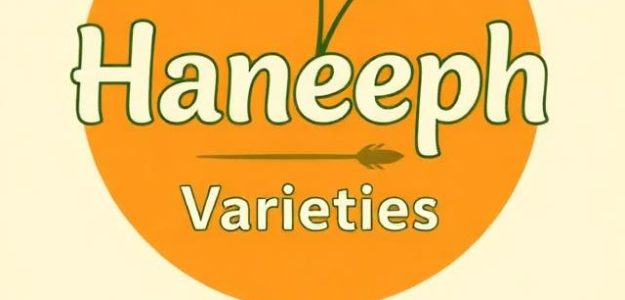 Haneeph varieties