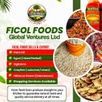 Ficol Foods Global Ventures Ltd