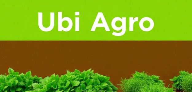 Ubi Agro