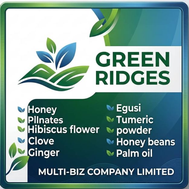 GREEN RIDGES MULTI-BIZ COMPANY LIMITED