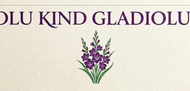 OLU KIND GLADIOLOUS GLOBAL RESOURCES