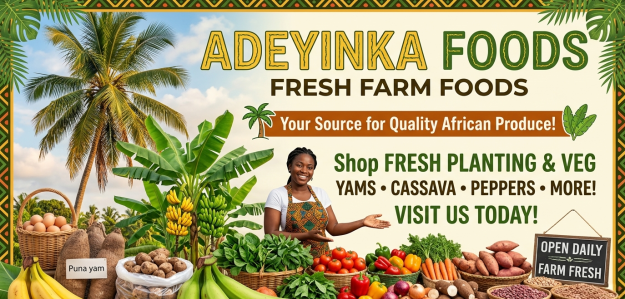 Adeyinka foods