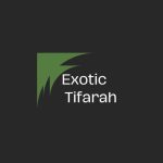 Exotic Tifarah