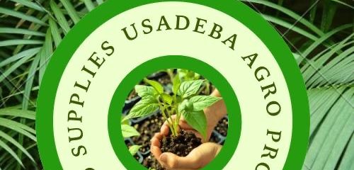 Usadeba