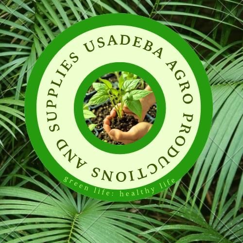 Usadeba