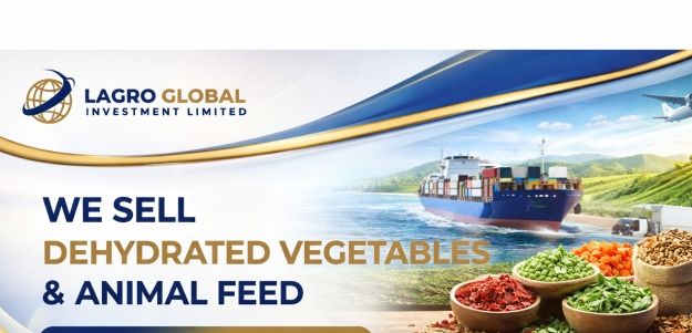 Lagro Global Investment Limited