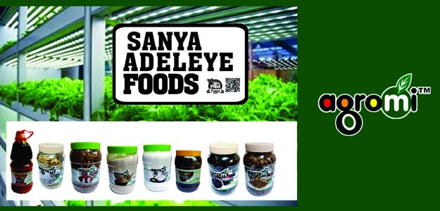 SanyaAdeleyeFoods