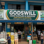 Godswill