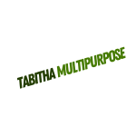 Tabitha multipurpose trading ventures