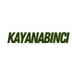 Kayanabinci