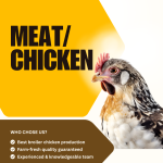 Meat/ chicken