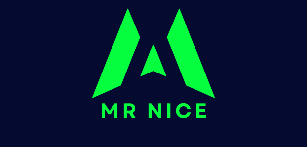 Mr nice