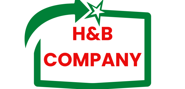 HnB Company Limited