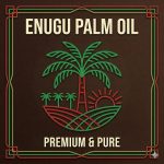 Enugu palm oil by promise
