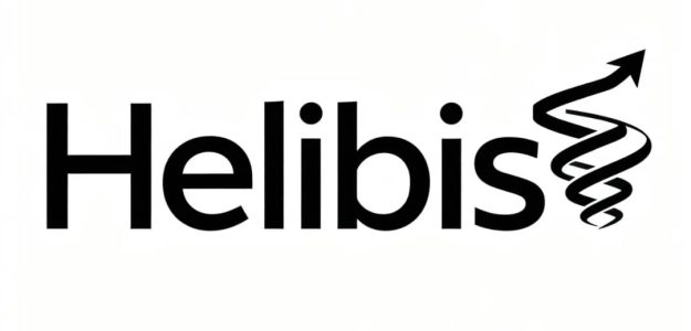 Helibis
