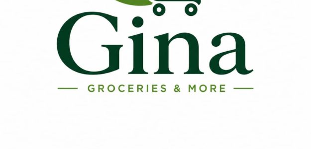 Gina groceries and more