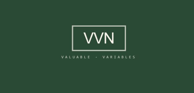 VALUABLE VARIABLES NIG LTD