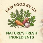 RAW FOOD BY IZY