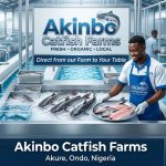 Akinbo Catfish Farms