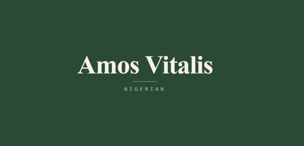 Amos Vitalis Nigerian food stuffs store