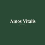 Amos Vitalis Nigerian food stuffs store