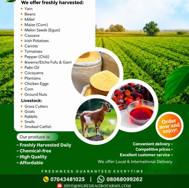 Ngbede AGRO FARM