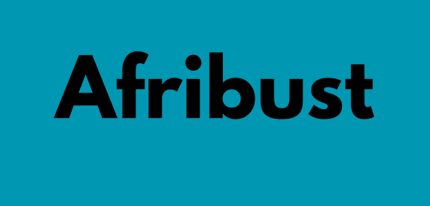 Afribust
