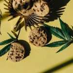 Laura Edibles