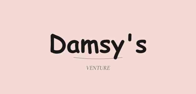 Damsy's venture